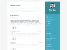 Online CV screenshot